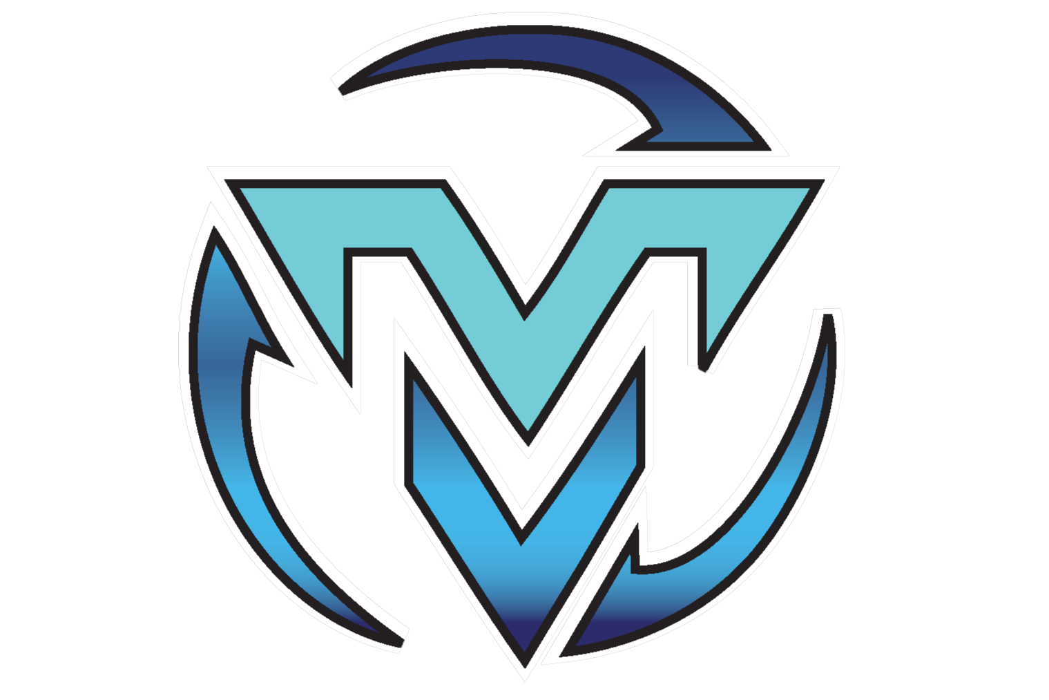 VISION MASTERS L.L.C